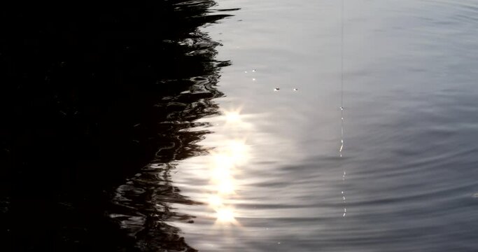 ripples on the water after unleashing a fishing-hook