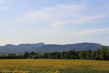 Fototapeta premium landscape with mountains and sky
