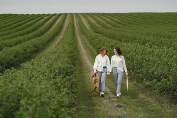 Fototapeta premium Elegant and beautiful girls painting in a field