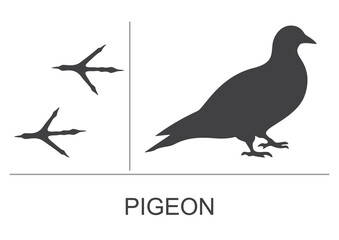 Silhouette and footprints of a pigeon. Vector illustration.