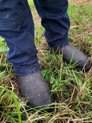 Closeup of tough safety work boots in green grass with blue work pants