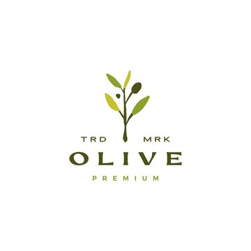 olive branch leaf logo vector icon illustration