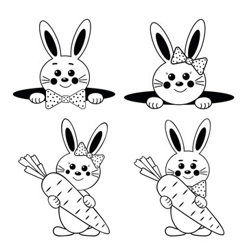 Cute rabbits with carrots, black outline, coloring, vector illustration