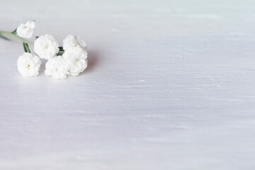 Fototapeta na wymiar White little flowers on the desktop.. Flower arrangement.