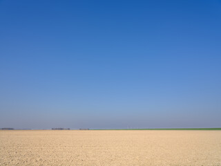 Fototapeta na wymiar Agriculture, Flevoland Province, The Netherlands