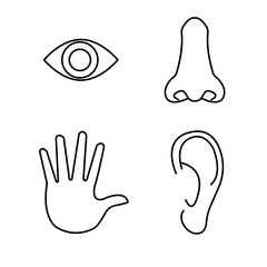 human senses: vision, smell , hearing,touch, taste