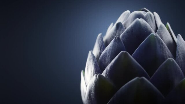 Close-up shot of artichoke leaves, realistic 3d animation.
