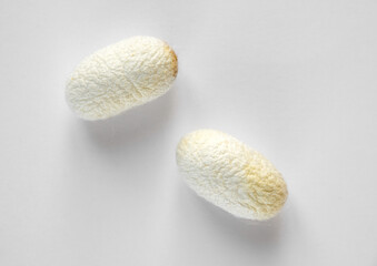 Silkworm cocoon on a white background