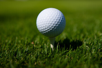 Golf ball in grass. Golf ball is on tee on green grass background.