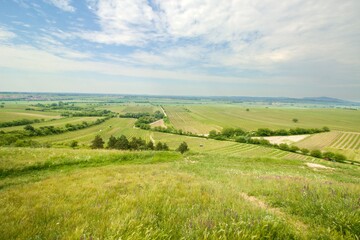 Fototapeta na wymiar Vineyards close to vilage Velke Bilovice with beautiful view, South Moravia, Czech republic, Europe