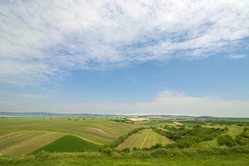 Fototapeta na wymiar Vineyards close to vilage Velke Bilovice with beautiful view, South Moravia, Czech republic, Europe