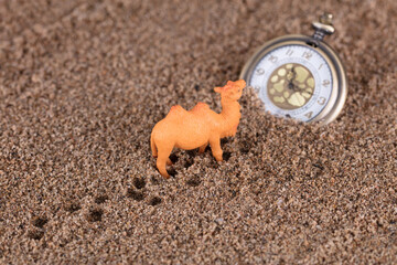 Miniature scenes of pocket watches and camels in the desert
