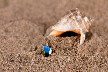 Snail shells and traveler miniatures on the beach