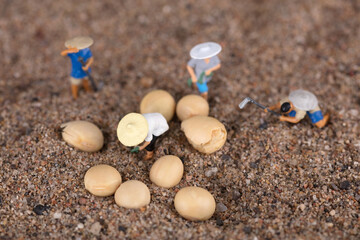 Beans and Miniature Farmers on the Sand