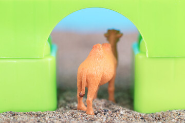Miniature scenes of camels walking through the green doorway