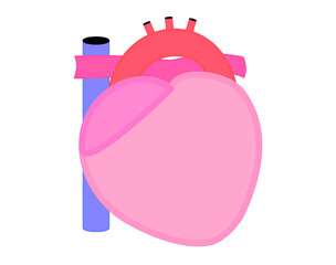 シンプルな心臓のイラスト。健康な状態。アウトラインあり。