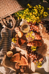 picnic concept glasses of wine bun outdoors on blanket