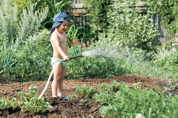 Little boy waters green plants growing in kitchen garden