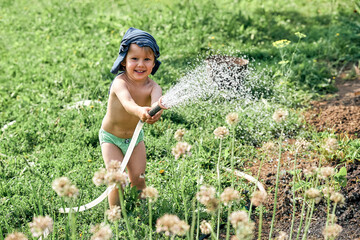Little boy waters green plants growing in kitchen garden