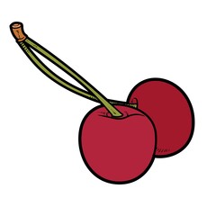 Two cherries on one stalk color variation for coloring page isolated on white background