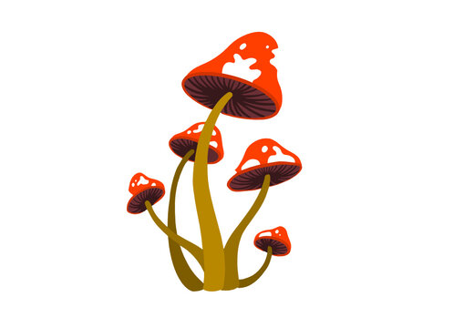 Psychodelic Mushroom growing white and red  