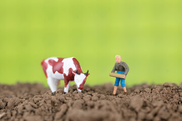Fototapeta na wymiar Miniatures and character models of cows on the soil