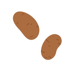 Potato tubers with brown skin. Fresh raw whole vegetables. Farm organic food. Flat vector illustration of sweet starch veggie isolated on white background