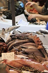Display of sashimi style cut raw hake fish (Merluccius merluccius) locally known as merluza with its typical dark pink hue at Mercado de Abastos market in Jerez de la Frontera, Spain