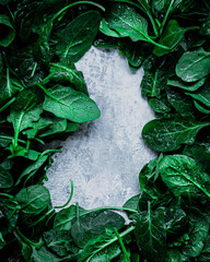 Fresh green spinach leaves on blue gray textured backdrop, space for text in the center