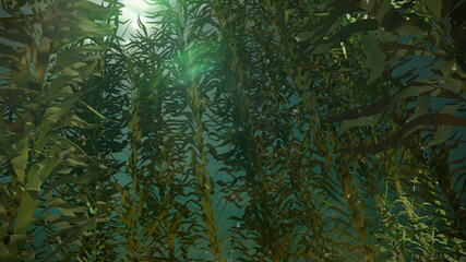 kelp forest, giant brown algae seaweed  - obrazy, fototapety, plakaty