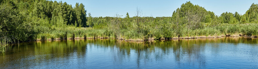 Fototapeta na wymiar nature landscape lake and forest daytime panorama
