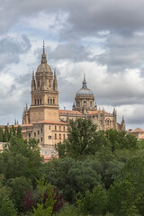 Fototapeta na wymiar Amazing view at the gothic building at the Salamanca cathedral tower cupola dome and University of Salamanca tower cupola dome, surrounding vegetation