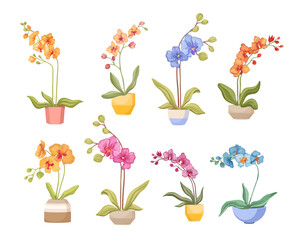 Set of Cartoon Orchids in Flowerpots Isolated on White Background. Different Tropical or Domestic Colorful Blossoms