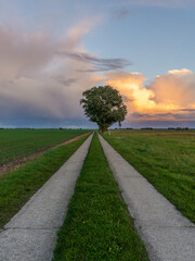Fototapeta na wymiar Rainclouds and a rural road near Seehof, Mecklenburg-Western Pomerania, Germany