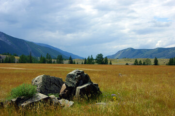 High mountains and glade with wood year daytime