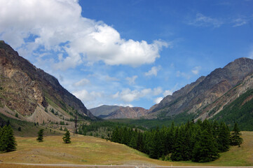 Bright colorful landscape of the high mountains and wood