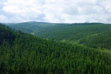 Landscape of the mountains covered by wood year daytime