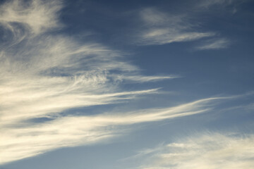 Layer filaments of cirrus clouds against a blue sky