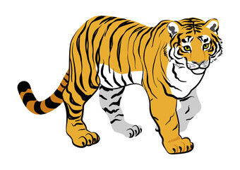 Tiger clip art -  walking toward the right