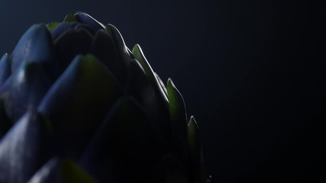 Close-up of an artichoke gently rotating. Realistic 3d animation.