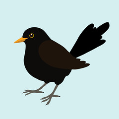Print
An illustration of a blackbird. It's a male bird and the background is pale blue. The bird is cut out. - obrazy, fototapety, plakaty