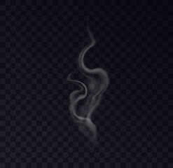 Realistic steam effects set. White cigarette smoke, air wind fog, hot swirl of smoking from hot beverage vapor isolated