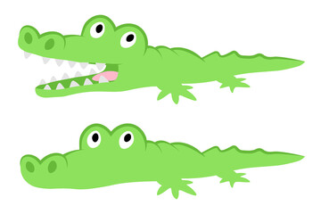 Crocodile cartoon illustration with close and open jaws little cute green animal