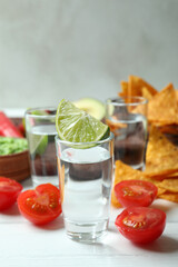 Fototapeta na wymiar Party concept with tequila, guacamole and chips