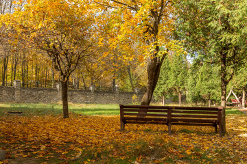 Fototapeta na wymiar City park in autumn at the time of leaf fall. The problem of cleaning fallen leaves in the city. Wonderful autumn in the park with yellow and purple trees. bench in autumn park, leaves on the ground.