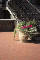 Ceramic pot with flowers on red brick paving