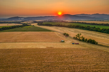 Wheat crop harvest. Aerial view of combine harvester at work during harvest time. Agriculture...