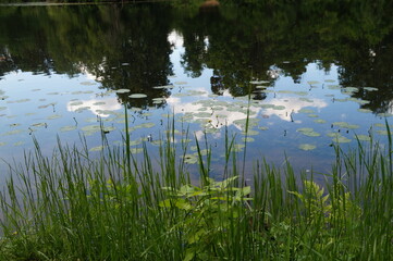 lake in the park