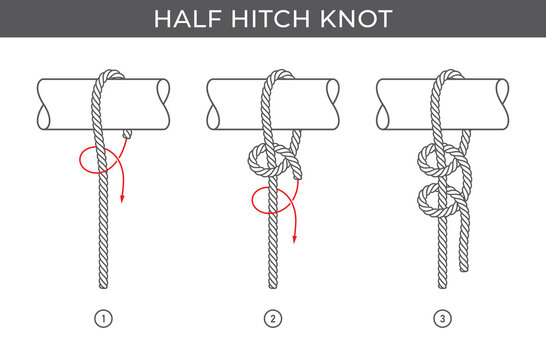 Vector simple instructions for tying a Half hitch knot. Three steps. Isolated on white background.