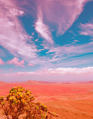 Fototapeta na wymiar Volcanic and desert, blue sky panoramic landscape. Stylish nature wallpaper.Travel concept. Canary islands. Fuerteventura